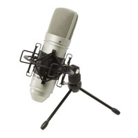 TASCAM TM-80 Condenser Microphone